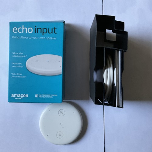 Amazon echo input - echo,